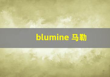 blumine 马勒